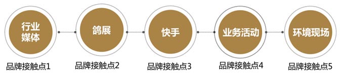 開(kāi)爾鴿業(yè)品牌全案服務(wù)