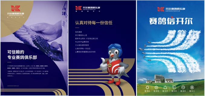 開(kāi)爾鴿業(yè)品牌全案服務(wù)