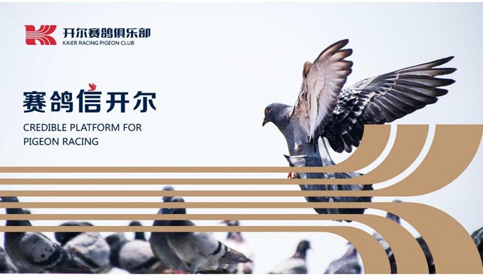 開(kāi)爾鴿業(yè)品牌全案服務(wù)