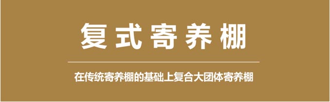 開(kāi)爾鴿業(yè)品牌全案服務(wù)