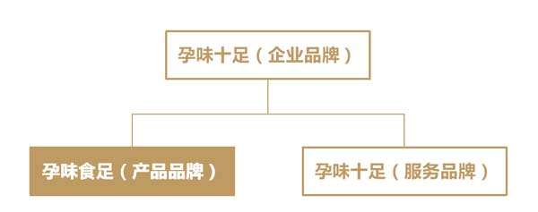 歐賽斯超級品牌引擎&reg; 新冠軍商業(yè)實(shí)戰(zhàn)案例：孕味食足