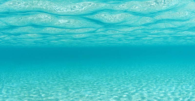 中至生物：大道至簡·品牌百萬級(jí)LOGO升級(jí)引爆品牌氣質(zhì)！