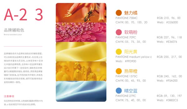 歐賽斯超級品牌引擎&reg; 新冠軍商業(yè)實(shí)戰(zhàn)案例：孕味食足